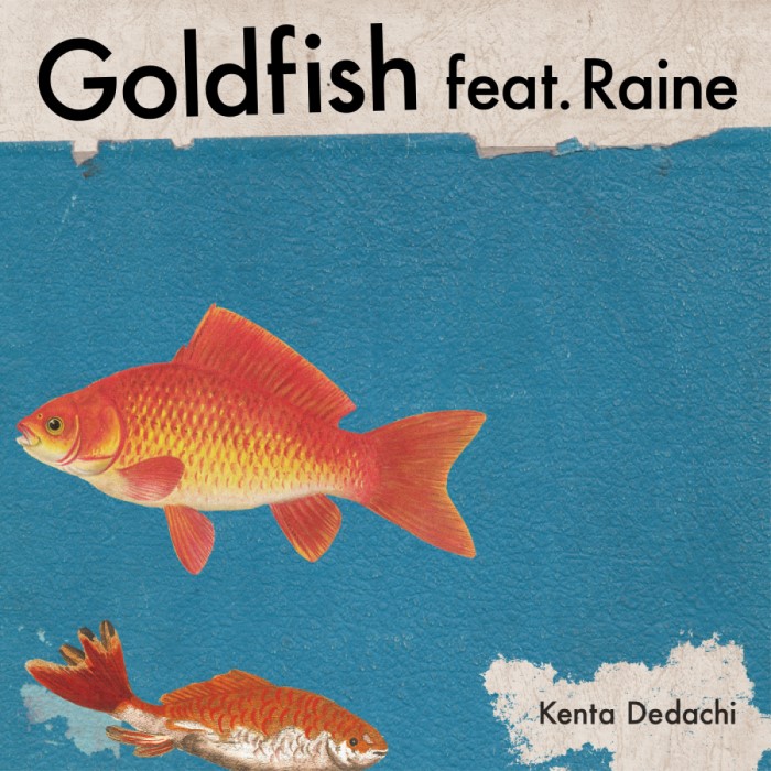 本日、新曲「Goldfish feat. Raine」をデジタルリリース！ | Kenta